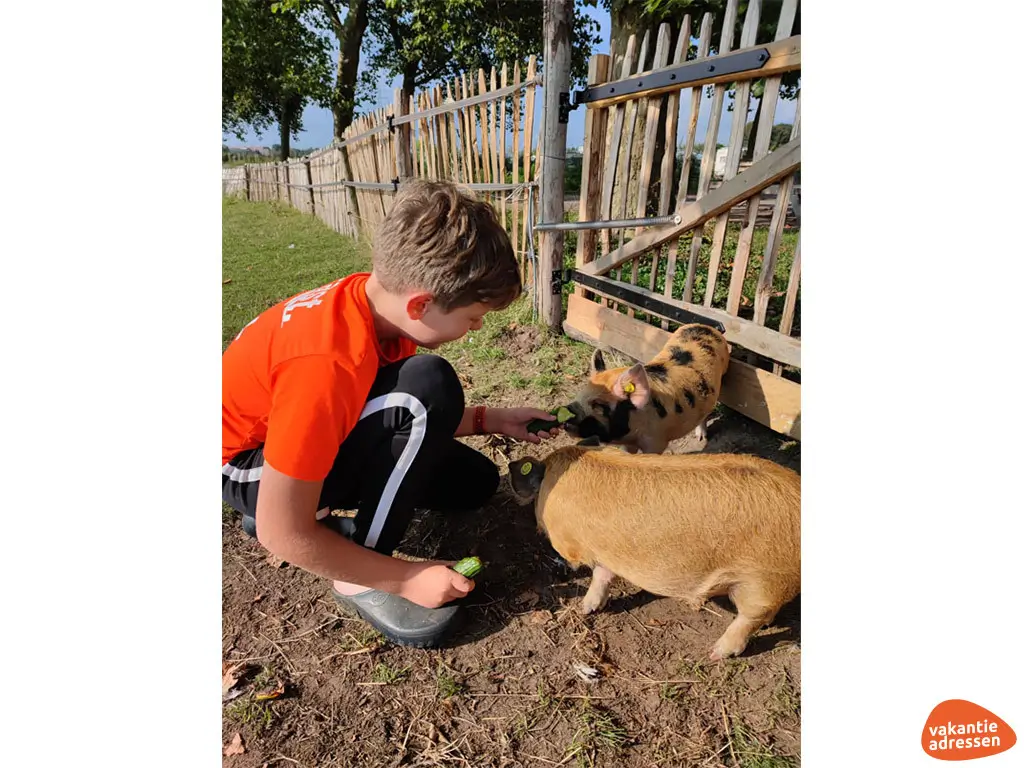 Vakantieadressen accommodatie afbeelding