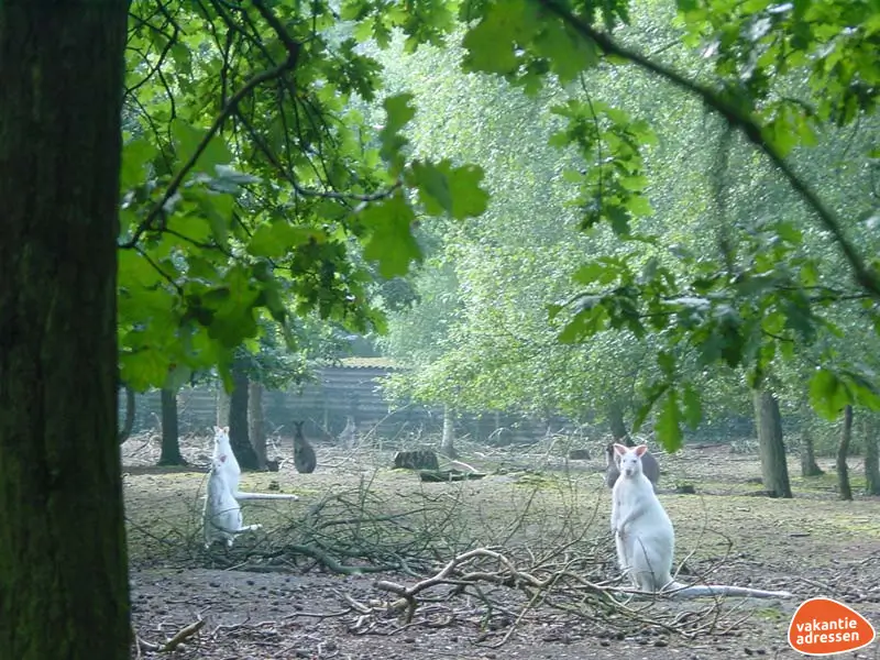 Vakantieadressen accommodatie afbeelding