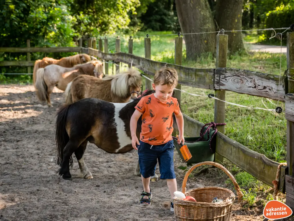Vakantieadressen accommodatie afbeelding