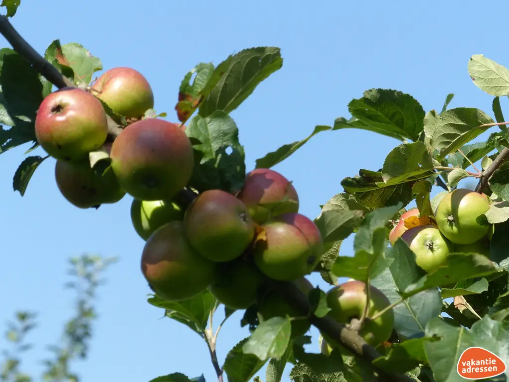 Vakantieadressen accommodatie afbeelding