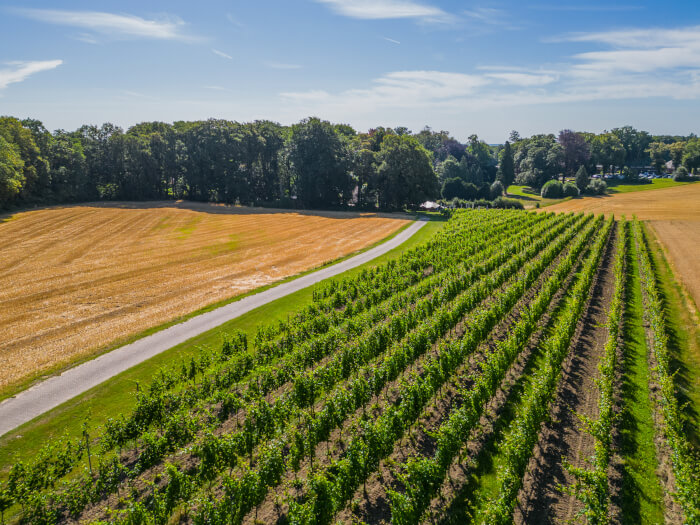 Groepsaccommodatie in Berg en Dal (Gelderland) voor 20 personen met 10 slaapkamers en 6 badkamers.