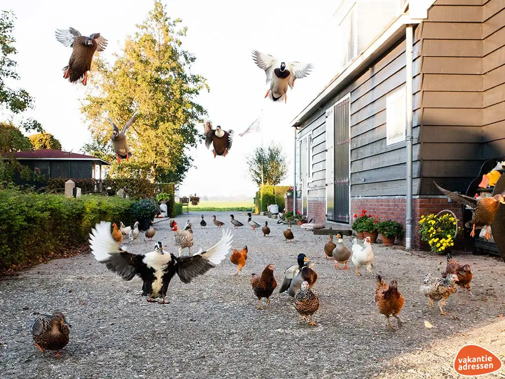 Vakantieadressen accommodatie afbeelding