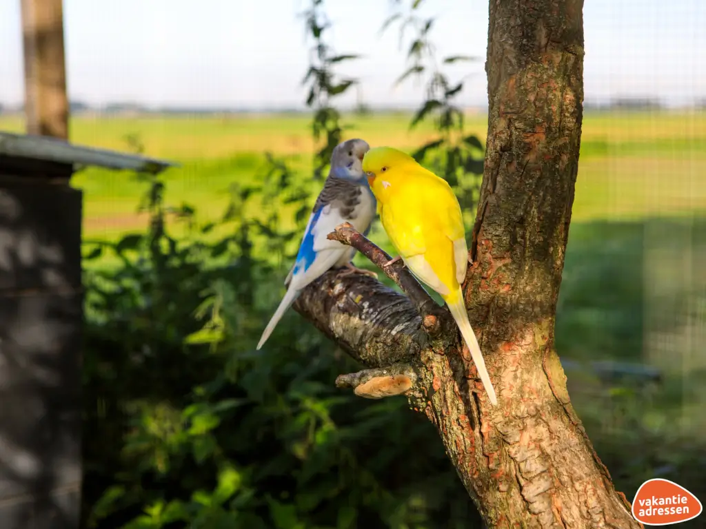 Vakantieadressen accommodatie afbeelding