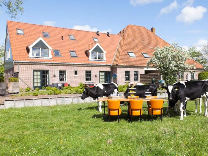 Groepsaccommodatie in Oudesluis (Noord-Holland) voor 30 personen met 11 slaapkamers en 8 badkamers.