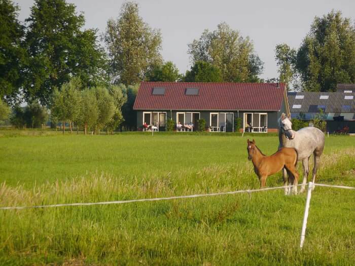 Groepsaccommodatie in Goudriaan (Zuid-Holland) voor 16 personen met 5 slaapkamers en 5 badkamers.