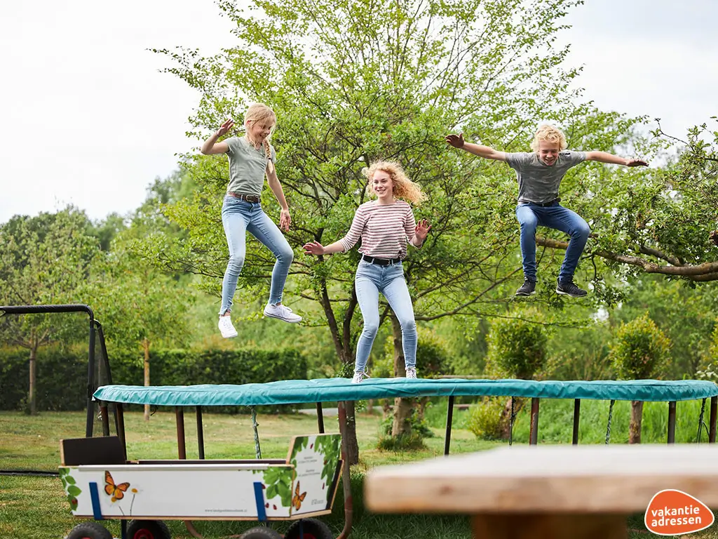 Vakantieadressen accommodatie afbeelding