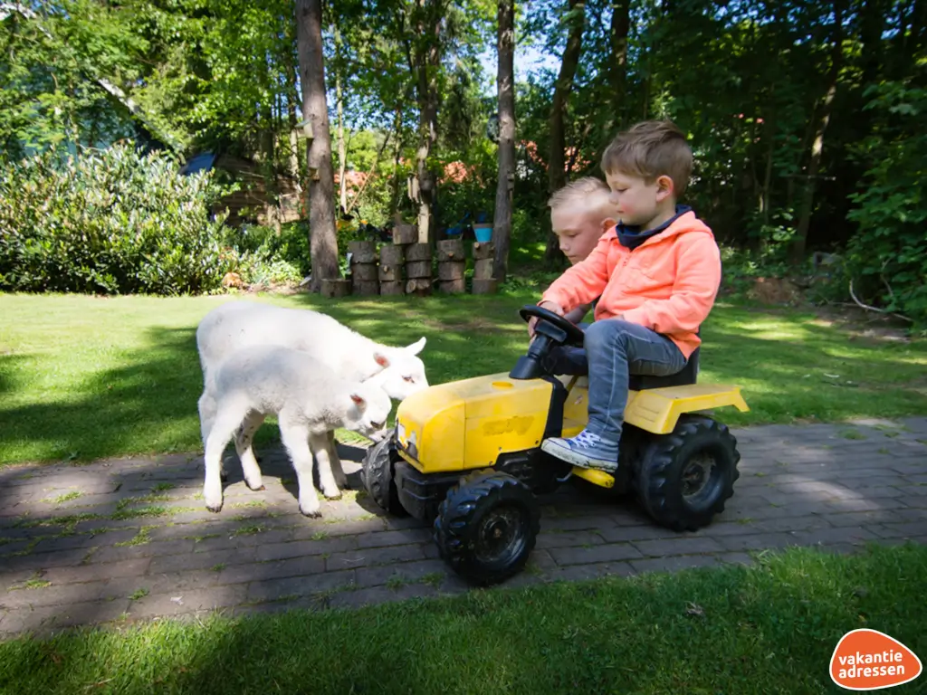 Vakantieadressen accommodatie afbeelding