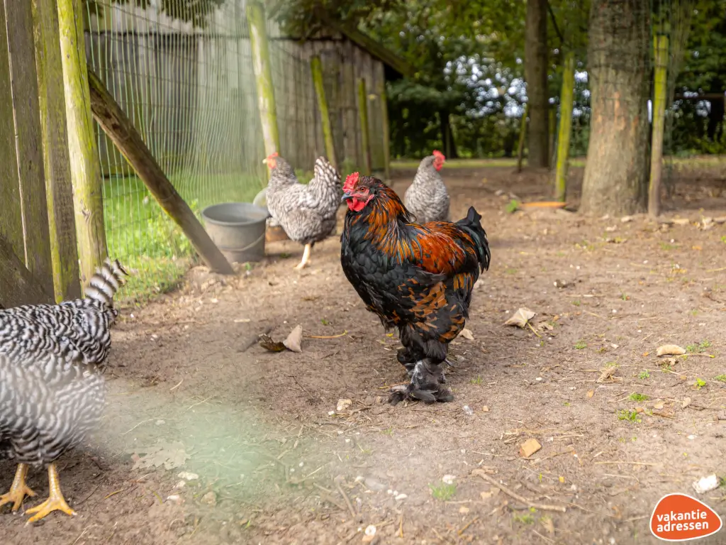 Vakantieadressen accommodatie afbeelding