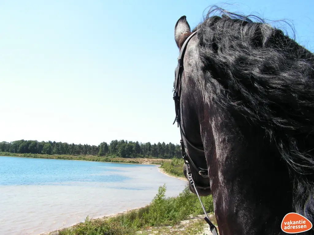 Vakantieadressen accommodatie afbeelding