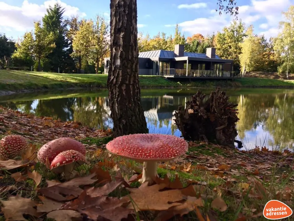 Vakantieadressen accommodatie afbeelding