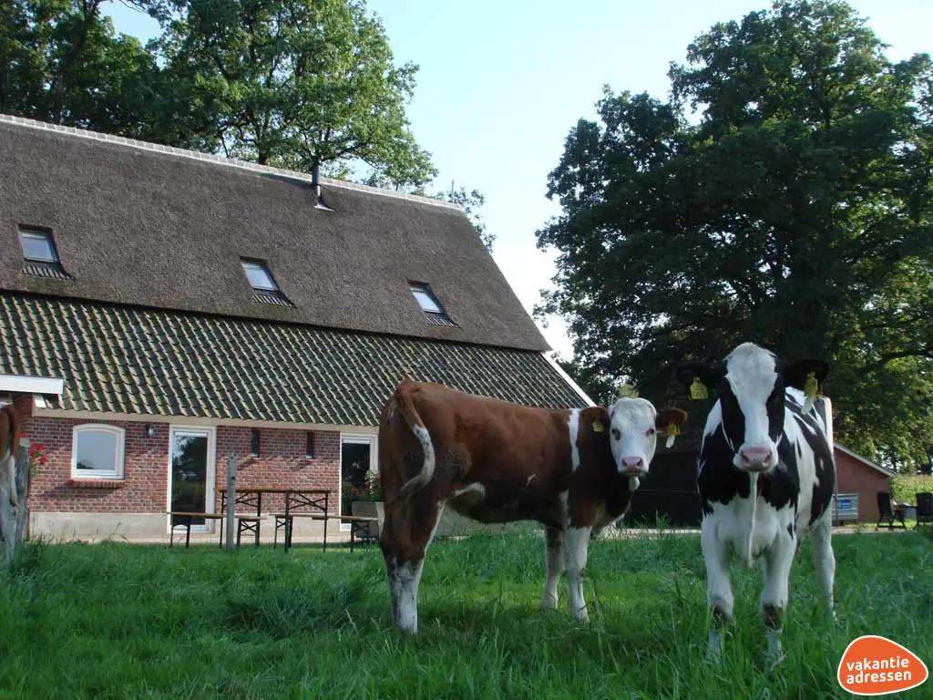 Vakantieadressen accommodatie afbeelding