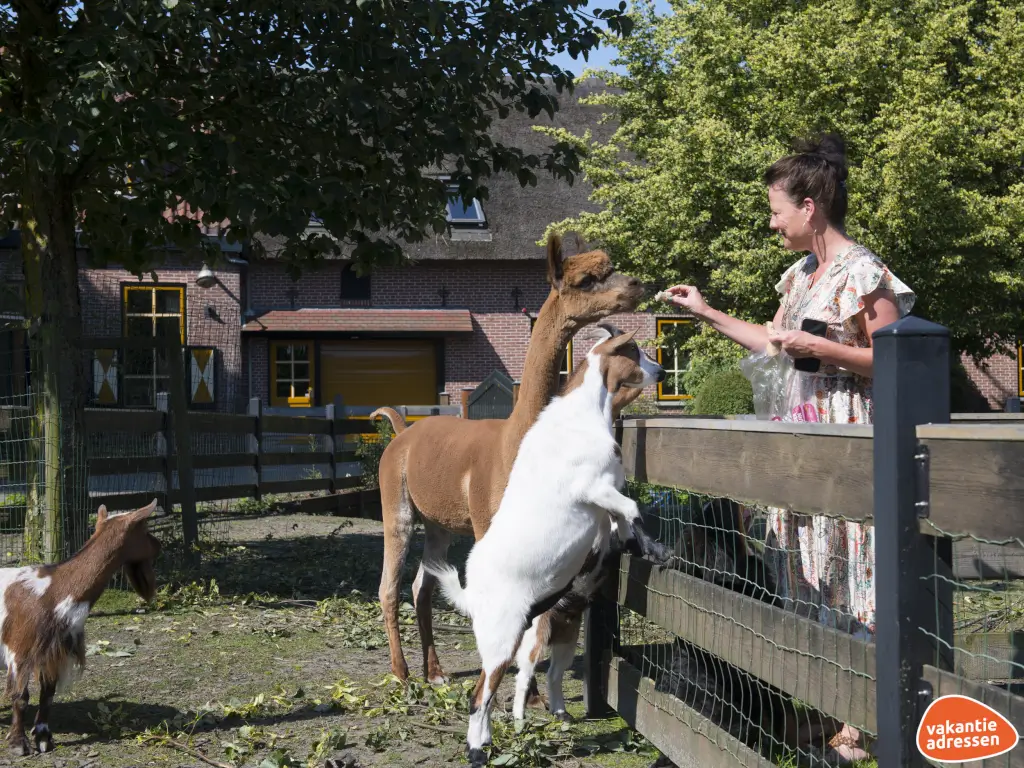 Vakantieadressen accommodatie afbeelding