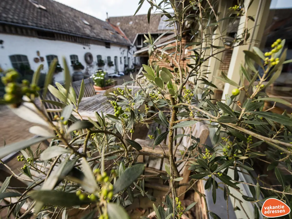 Vakantieadressen accommodatie afbeelding