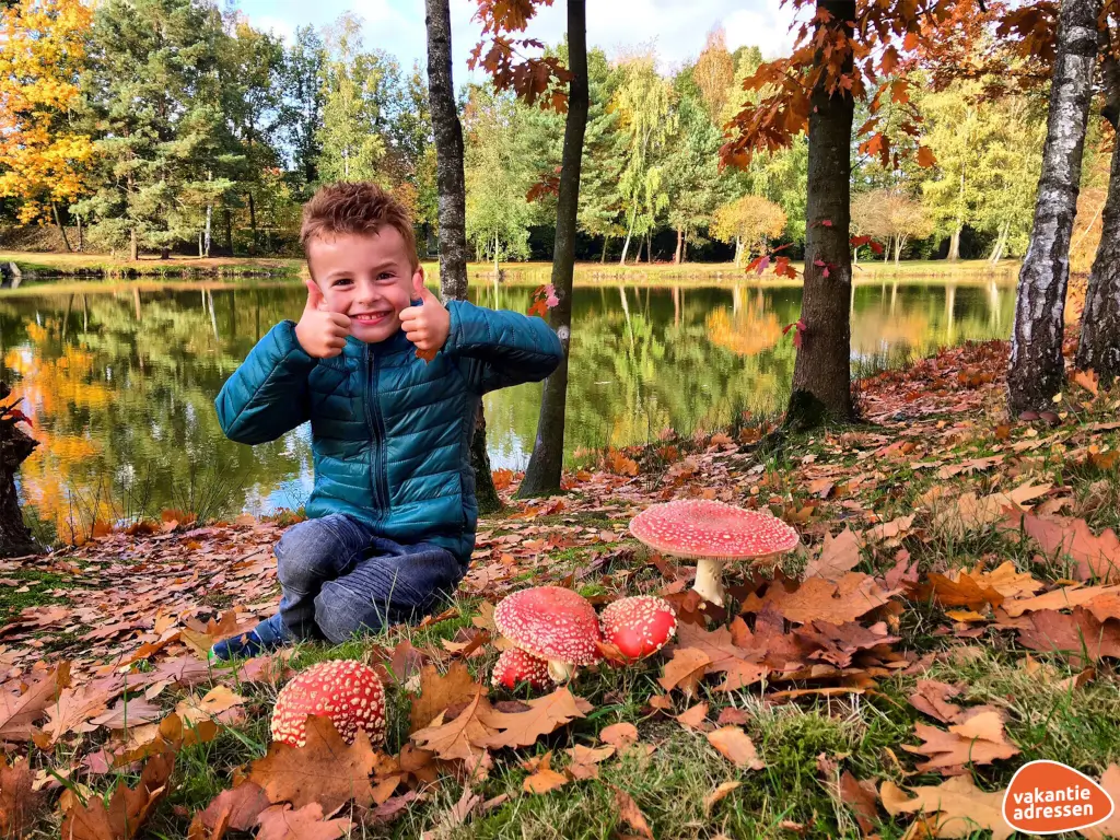 Vakantieadressen accommodatie afbeelding