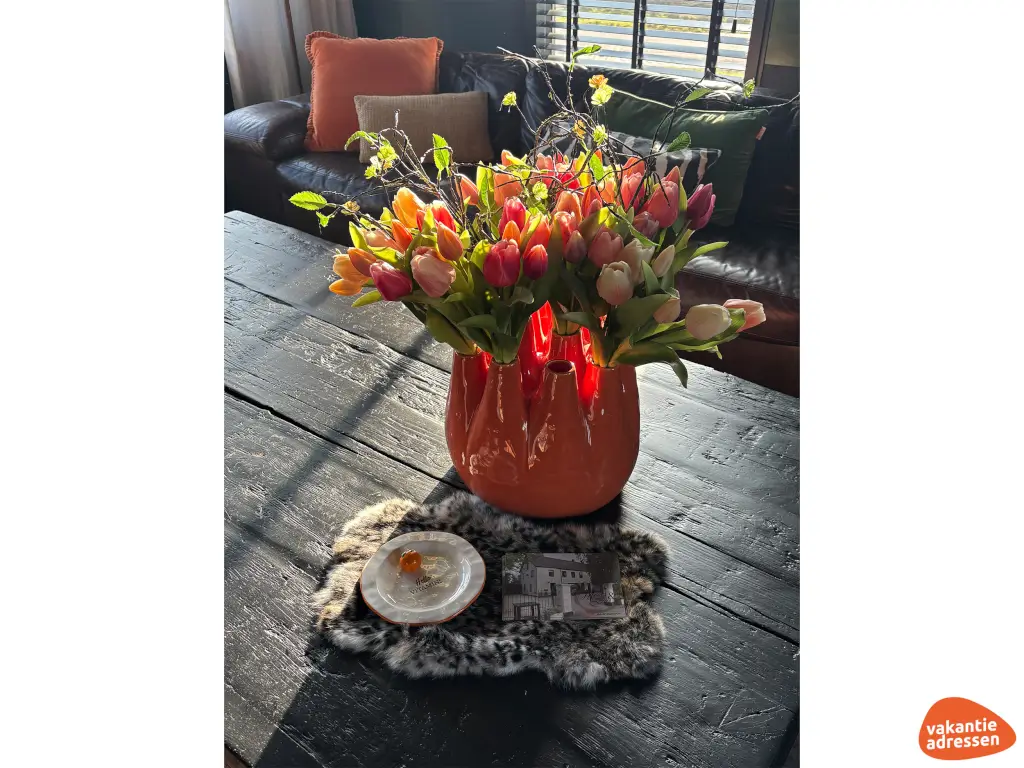 Vakantieadressen accommodatie afbeelding