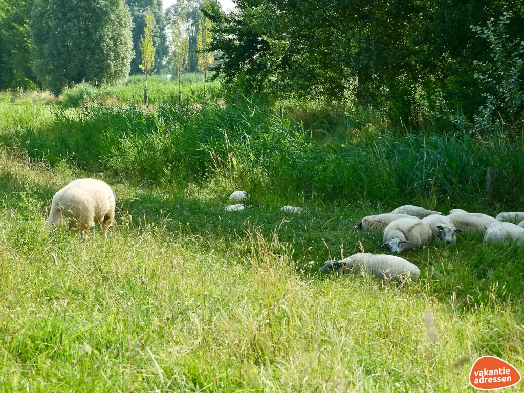 Vakantieadressen accommodatie afbeelding