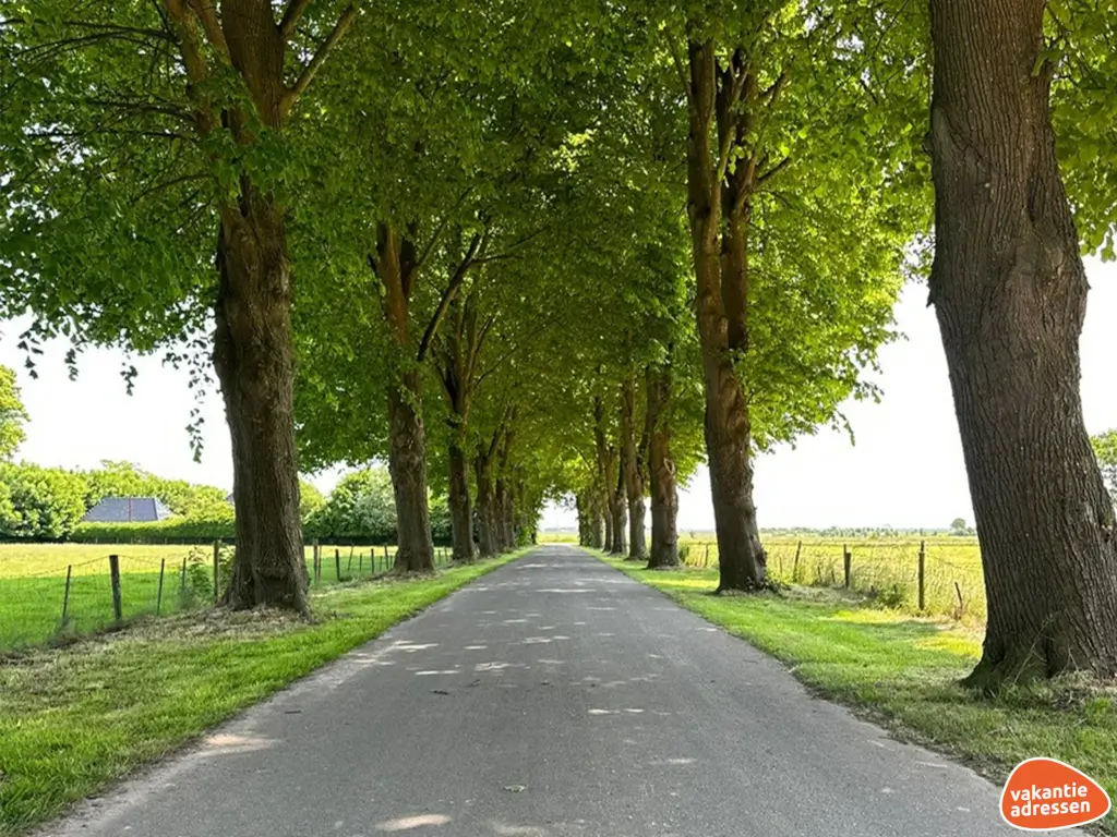 Vakantieadressen accommodatie afbeelding