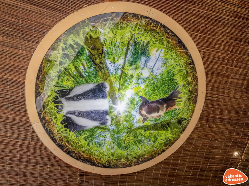 Vakantieadressen accommodatie afbeelding