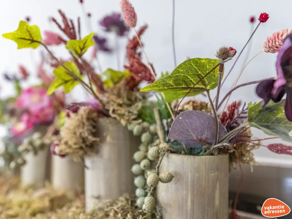 Vakantieadressen accommodatie afbeelding