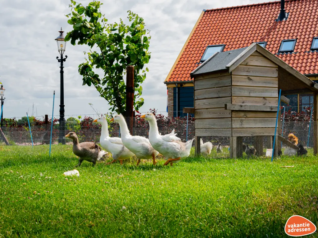 Vakantieadressen accommodatie afbeelding