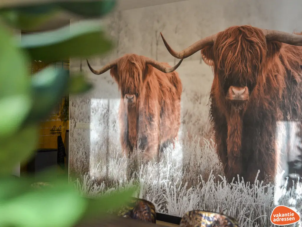 Vakantieadressen accommodatie afbeelding