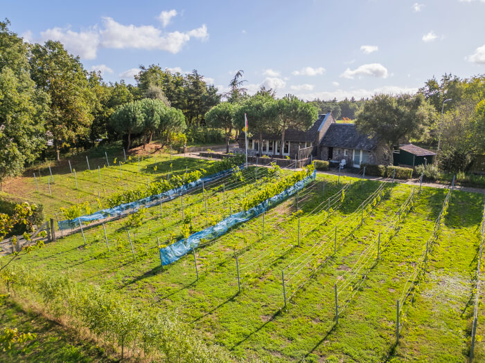 Groepsaccommodatie in Maasbree (Limburg) voor 15 personen met 8 slaapkamers en 3 badkamers.