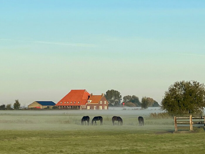 Groepsaccommodatie in Sloten (Friesland) voor 10 personen met 4 slaapkamers en 1 badkamers.