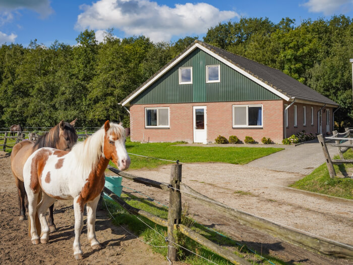 Groepsaccommodatie in Noardburgum (Friesland) voor 15 personen met 5 slaapkamers en 4 badkamers.
