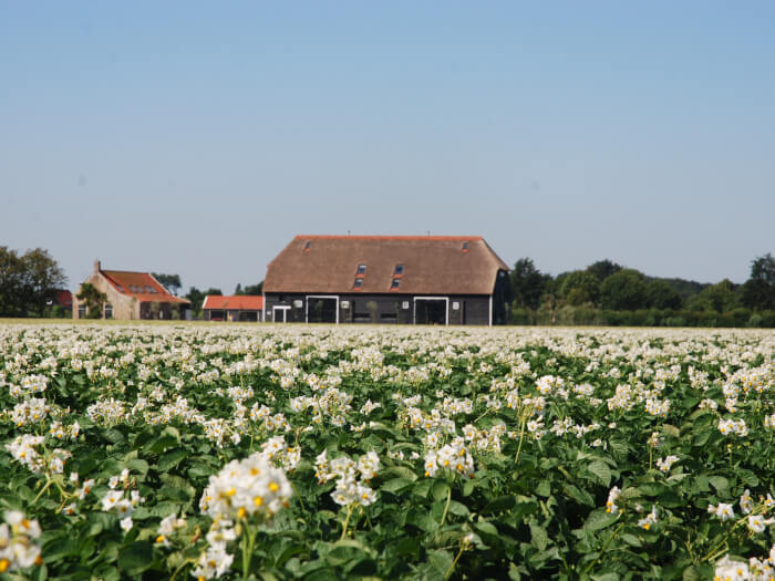 Groepsaccommodatie in Oostkapelle (Zeeland) voor 30 personen met 14 slaapkamers en 7 badkamers.