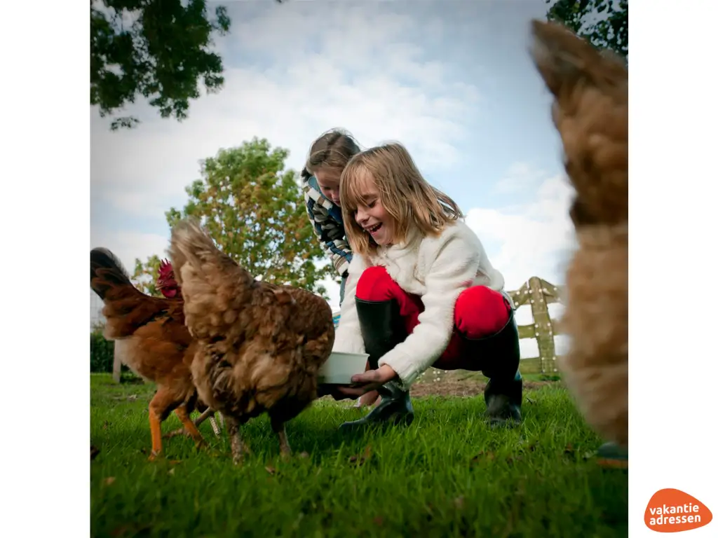 Vakantieadressen accommodatie afbeelding