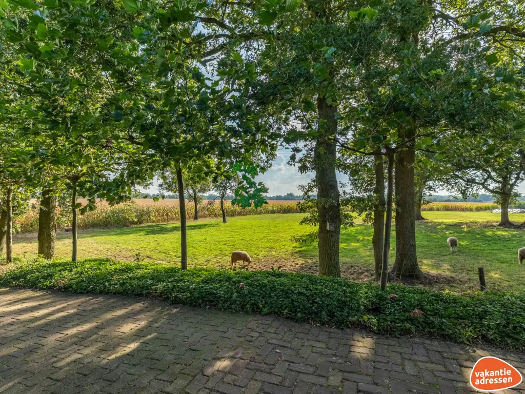 Groepsaccommodatie in Wielen (Nedersaksen) voor 18 personen met 7 slaapkamers en 4 badkamers.