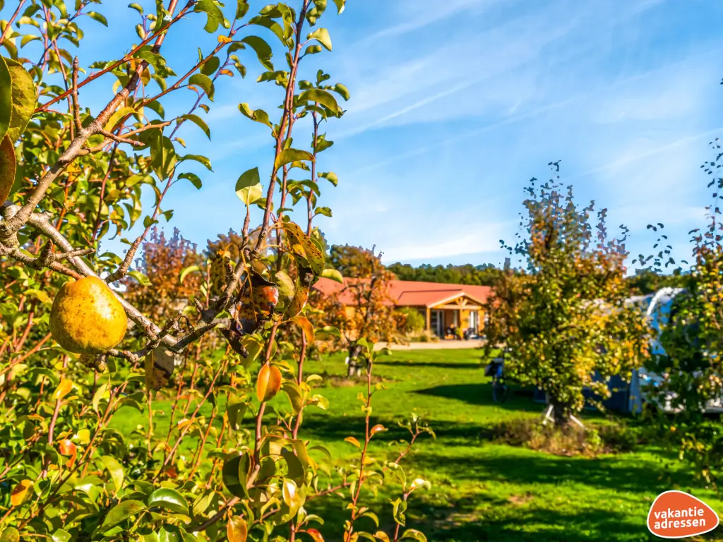 Vakantieadressen accommodatie afbeelding