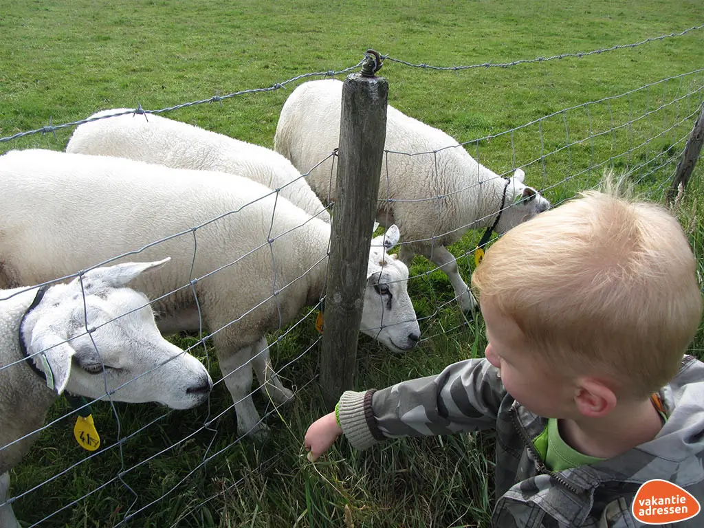 Vakantieadressen accommodatie afbeelding