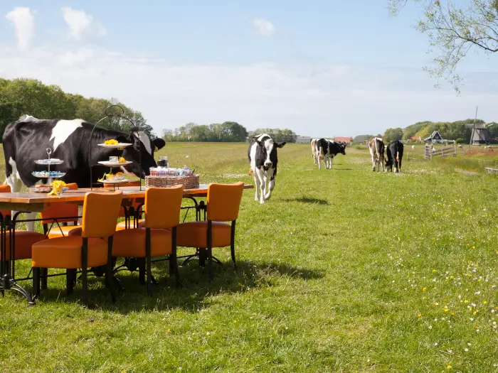 Vakantieadressen accommodatie afbeelding