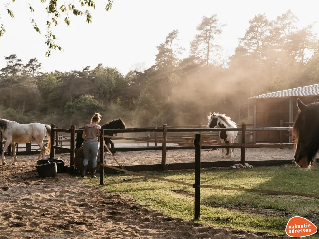 Vakantieadressen accommodatie afbeelding