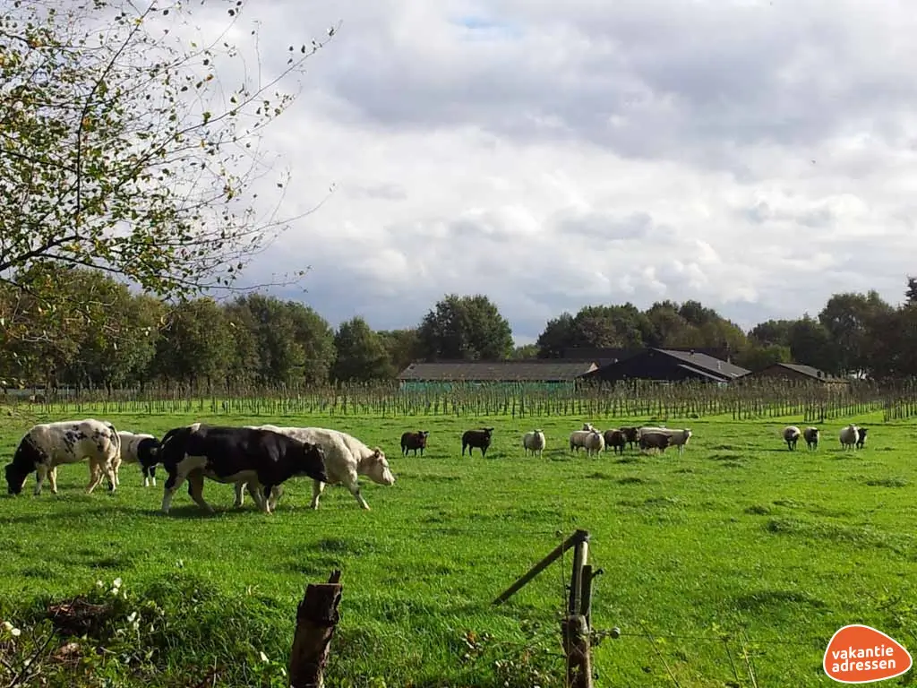 Vakantieadressen accommodatie afbeelding